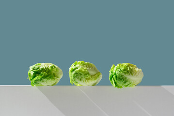 Tres corazones de lechuga fresca para ensalada sobre fondo verde