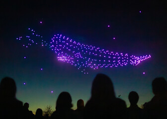 constellation d’étoiles observés par une foule lors d'un spectacle de drone.