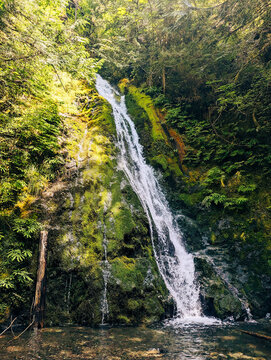 The Moss Waterfall