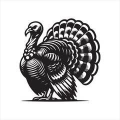 Thanksgiving Turkey Illustration