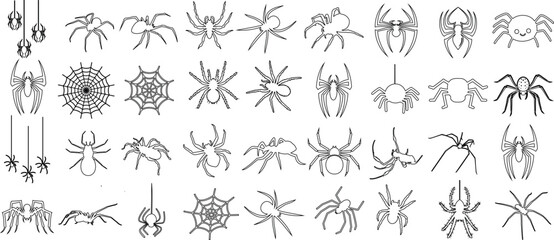 Spider, line art, illustrations, various species, isolated, white background. Perfect for educational content, Halloween decorations, nature studies