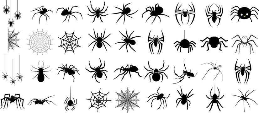 Spider vector illustration, collection of different spider types, isolated on white background. for web design, educational projects, Halloween decorations, or any other creative use, arachnids.