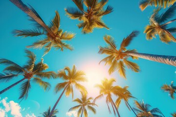 Fototapeta na wymiar Tropical Paradise, Sunlit Palm Trees, A Sky Full of Coconuts, The Blue and Yellow Canopy.