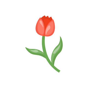 Single clipart red tulip in hand drawn style. Botanical clipart. Perfect for cards, logo, decorations, spring and summer designs. Stock isolated image on a white background.