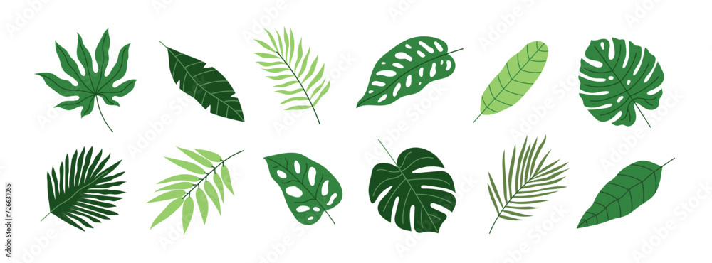 Poster tropical summer plants on a white background