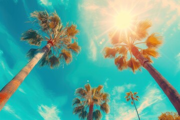 Tropical Paradise, Sunny Palm Trees, Blue Sky with Sunshine, A Clear Day in the Tropics.