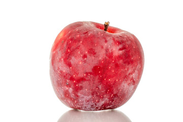 One red sweet apple, macro, isolated on white background.