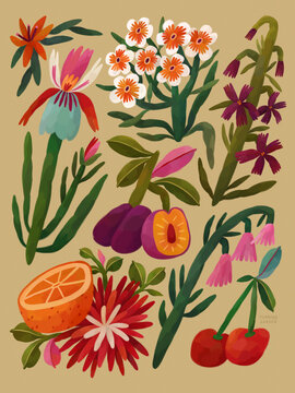 Fruits And Flowers Set, Whimsical Flowers, Plum, Orange, Cherry, Botanical Illustration