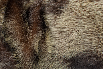 The real leather texture with reindeer fur