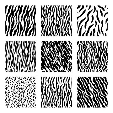 Seamless animal pattern set, fur, mammal, collection of skins. Printable background, vector illustration