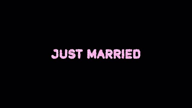 Charming Just Married Motion Graphic - Enhance wedding-themed content with charming and whimsically animated "Just Married" graphics.