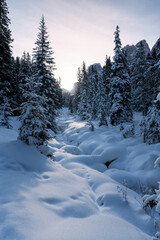 Fototapeta na wymiar Verschneiter Bachlauf und Lichtung im Wald im Winter in den Alpen in der Sonne mit Schnee und Bäumen.
