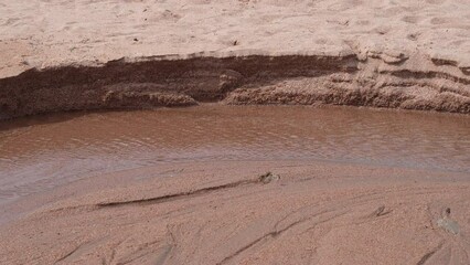 A small stream with crystal-clear and transparent water sparkles as it flows along the curve of a sandy bed made of large red sand grains. - Powered by Adobe