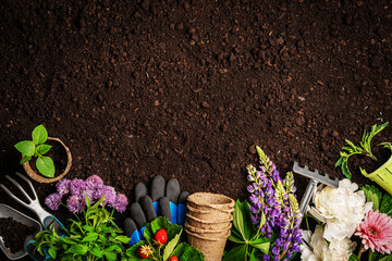 Garden tools and plants on a soil background. Spring garden works concept. - obrazy, fototapety, plakaty