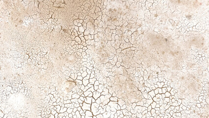 The ground is brown, dry and cracked.