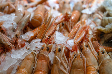 detail of fresh shrimp and crayfish on ice