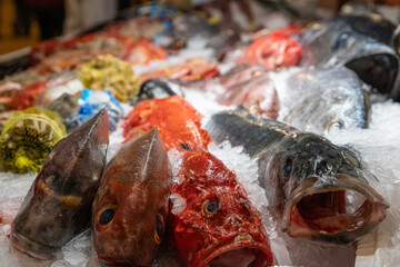 detail of fresh fish such as sea bream, sea bass, snapper, scorpionfish
