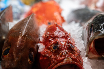 detail of heads and eyes of fresh fish such as sea bream, sea bass, snapper, scorpionfish