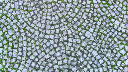 round tiles laid on the ground