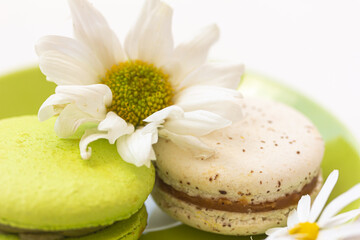 Obraz na płótnie Canvas Tasty spring dessert. Summer dessert. Bright green and white macarons on green plate, white chamomile on white background.