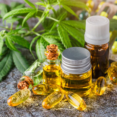 Green leaves of medicinal cannabis with extract oil.Medical marijuana flower buds. Hemp buds -...