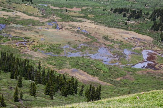 Colorado 14er, Hiking, Mount Bierstadt, Summer