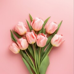 pink tulips on pink isolated background. Card for valentine's day,  women  day, birthday,  wedding