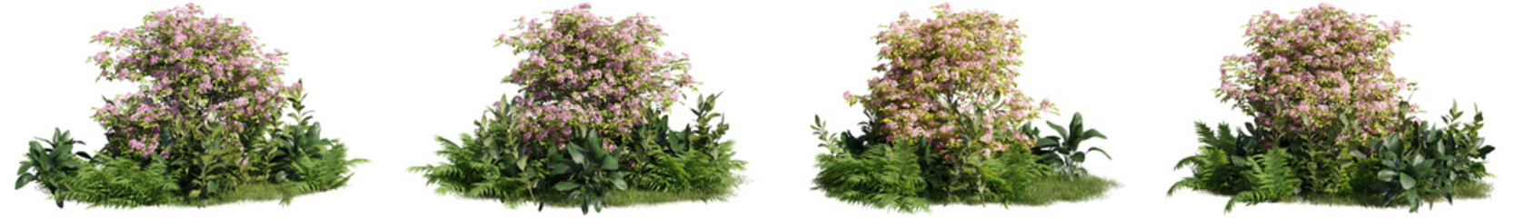 set of flowers and plants, 3D rendering with a transparent background, for digital composition, illustration, architecture visualization