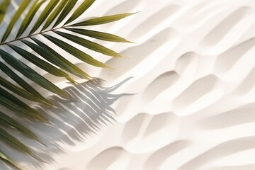 Fototapeta premium Tropical palm leaf shadow on water. white sand beach, summer abstract vacation banner