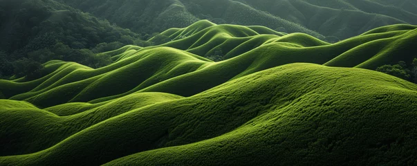 Fotobehang Serene Green Undulating Hills and Valleys in Natural Light © ABDULRAHMAN