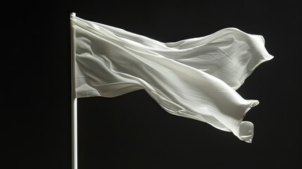 blank white flag on a flagpole, isolated against a stark black background, conveying a sense of simplicity and purity in its symbolism.
