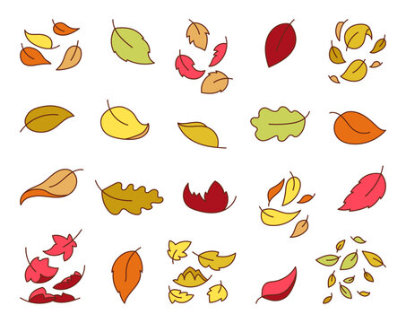 Autumn leaves fall. Nature plant. Hand drawn style. Vector drawing. Collection of design elements.