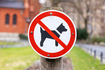 Photo of a prohibition sign in a park with green lawn: Dogs prohibited! It shows a symbol with a...
