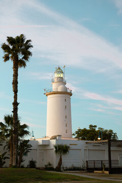 White lighthouse with a green light dome stands under a blue sky flanked by palm trees