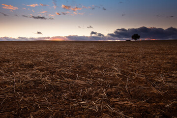 Tranquil field at dusk with dramatic clouds