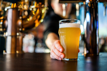 bartender's hand hold full glass of craft beer in a bar 