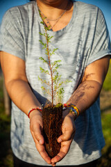 A strong female hand cradles small trees, ready for planting. A resolute gesture, full of...