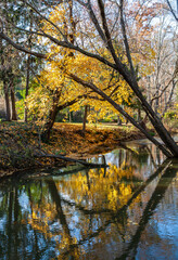 Reflections of Blue Sky and Fall Foliage in a water. Heritage Park parking lot. Allentown, New Jersey