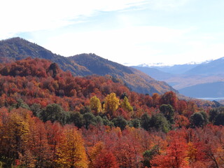 Lacar Lake Argentina