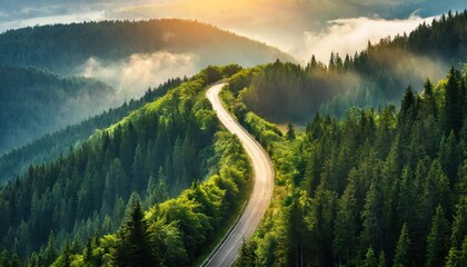 Aerial view of a twisty road in the middle of the forest - obrazy, fototapety, plakaty