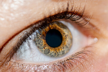 Photograph of the colorful human eye with details
