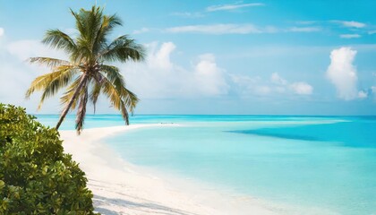 Fototapeta premium Beautiful beach with white sand, turquoise ocean, blue sky with clouds and palm tree over the water on a Sunny day. Maldives, perfect tropical landscape, wide format.
