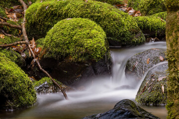 Long-exposure photograph of the stream and mossy rocks of a creek in the hillside of the Iguaque mountain, in the eastern central Andes of Colombia.