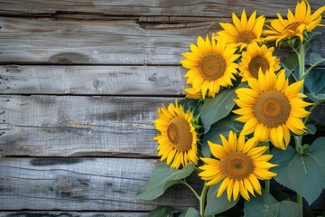 Obraz premium sunflowers on rustic wooden background many wooden slats