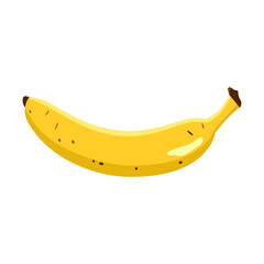 Banana fruit in flat technique vector illustration 