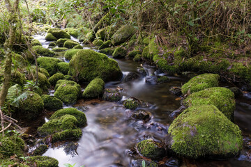 Long-exposure photograph of the stream and mossy rocks of a creek in the hillside of the Iguaque mountain, in the eastern central Andes of Colombia.