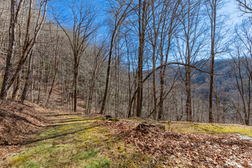 Fototapeta premium mountain land views drone