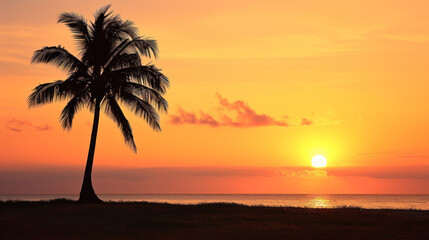  a palm tree is silhouetted against an orange and pink sunset on a beach with the ocean in the background.