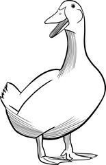 duck engraving style vector illustration