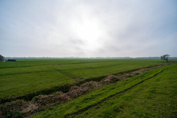 Fototapeta na wymiar Rural landscape north of Vinkeveen during the fall, the Netherlands
